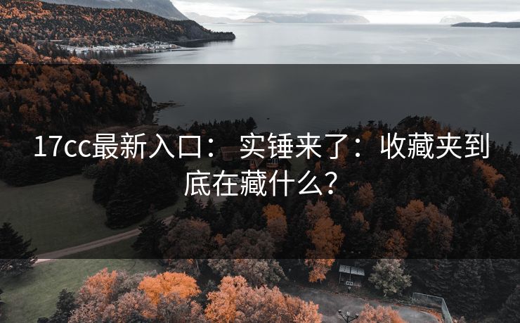 17cc最新入口： 实锤来了：收藏夹到底在藏什么？